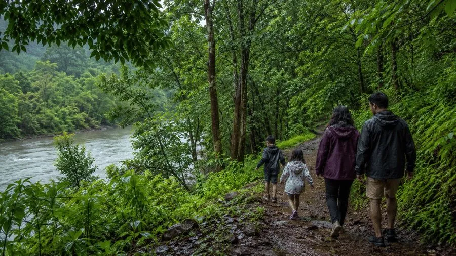 Trekkers walking a green forest trail beside the Kali River in Dandeli