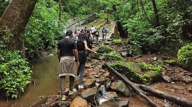 Group trekking along a rocky forest stream near Dandeli