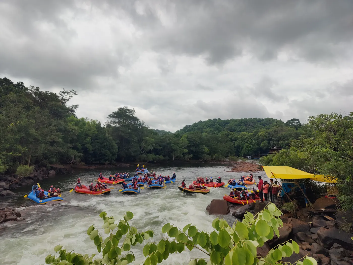 Rafts gathered on the Kali River below forested hills in Dandeli